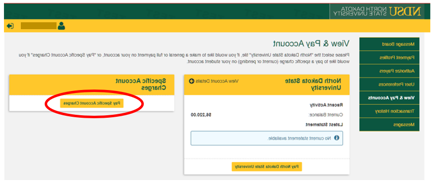 Screen shot of "View & Pay Account" screen with "Pay Specific Account Charges" button circled in red