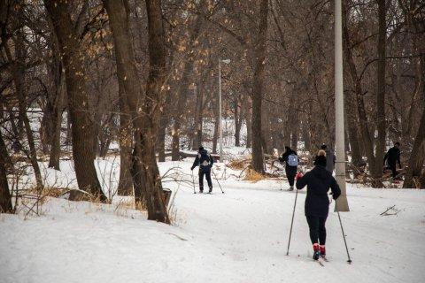 Photo of cross country skiers 