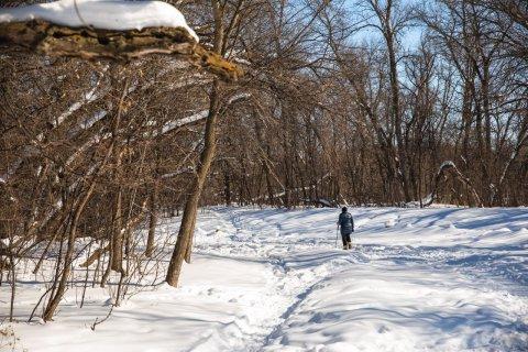 Photo of a hiker in winter